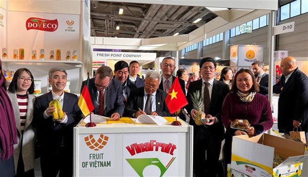Des entreprises vietnamiennes au Fruit Logistica 2023 a Berlin hinh anh 1