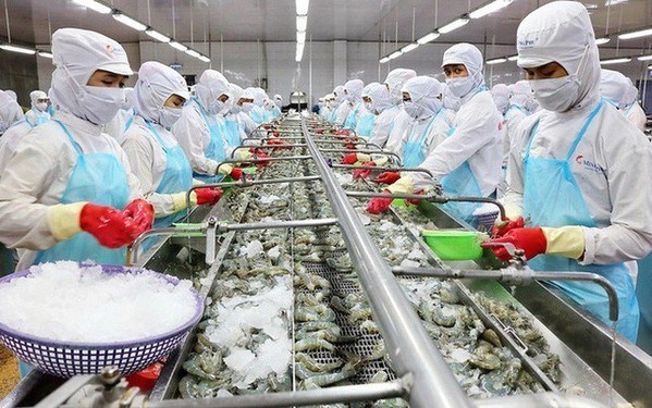 Produits aquatiques: la production de Hanoi atteint plus de 25.000 tonnes au premier trimestre hinh anh 1