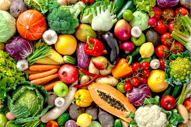 Les exportations de fruits et legumes devraient atteindre 4 mds de dollars en 2023 hinh anh 1