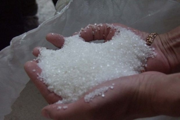 Indonesie : la demande en sucre raffine devrait augmenter de 5% hinh anh 1