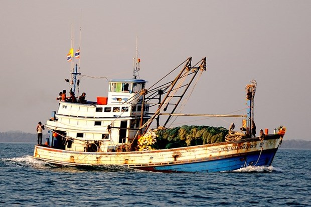 Trois bateaux thailandais arraisonnes pour peche illegale hinh anh 1