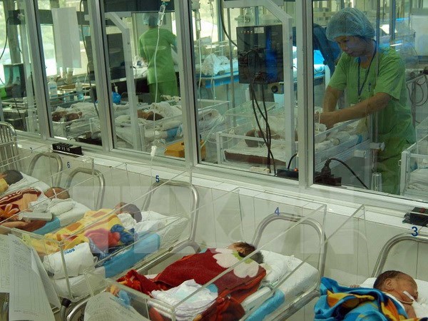 Hanoi : le taux de natalite ramene a 1,58 % hinh anh 1