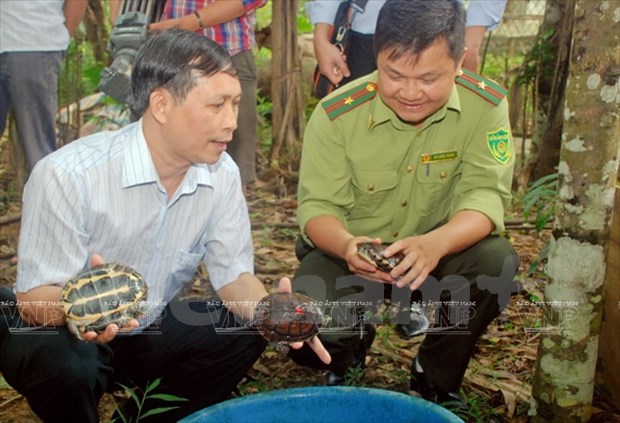 Ameliorer la gouvernance environnementale au Vietnam hinh anh 1