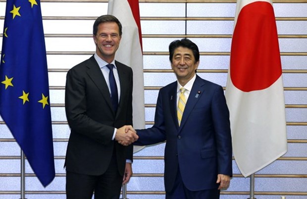Le Japon et les Pays-Bas s’inquietent des tensions en Mer Orientale hinh anh 1