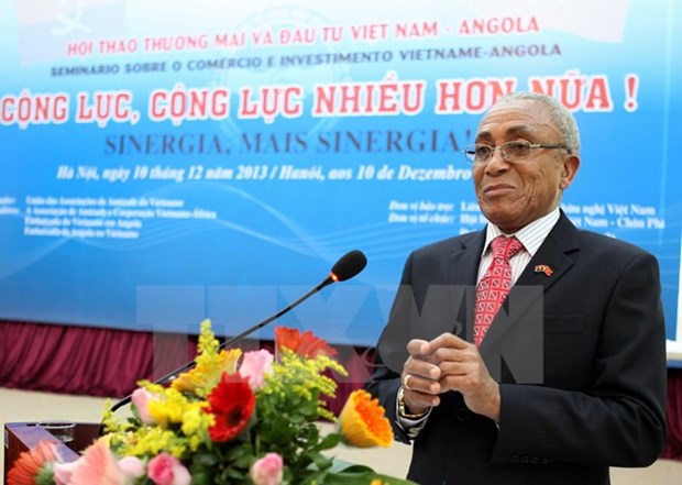Celebration des 40 ans des relations diplomatiques Vietnam-Angola hinh anh 1