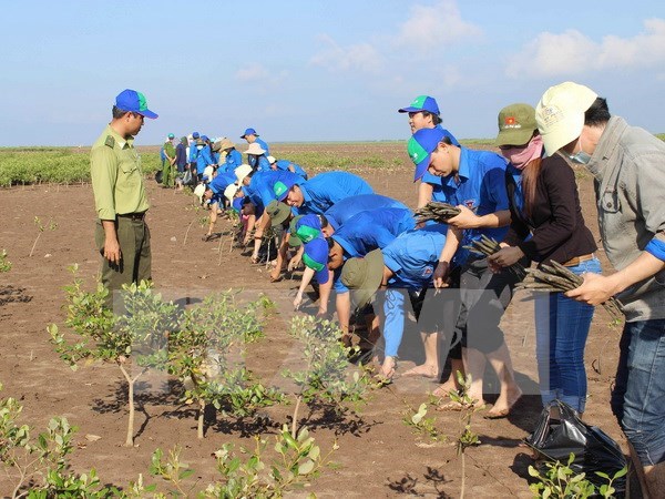 Quang Nam : bilan des modeles d'adaptation aux changements climatiques hinh anh 1