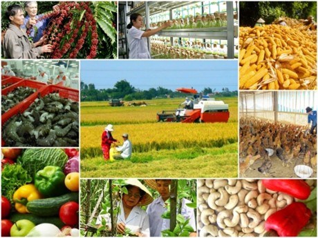 Renforcer l’integration internationale pour le secteur agricole hinh anh 1