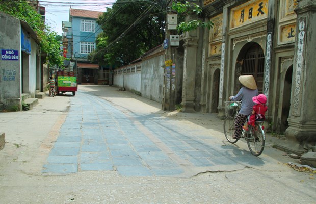 La route verte de Phu Luu, un temoin historique hinh anh 1