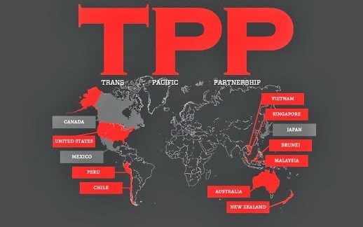 La signature du TPP est un jalon important hinh anh 1