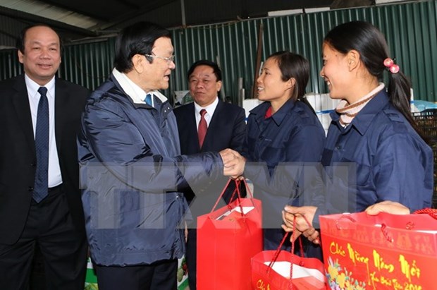 Le president Truong Tan Sang se rend a Hung Yen et Ha Nam pour formuler ses vœux du Tet hinh anh 1