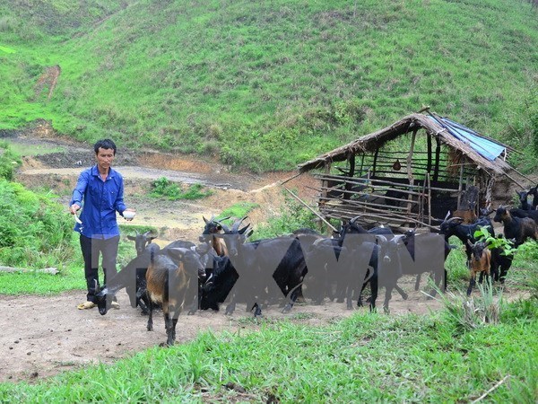 Vietnam : la reduction de la pauvrete est la 1ere priorite hinh anh 1