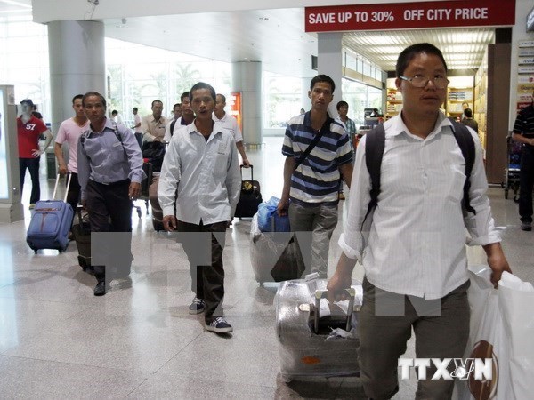 Plus de 100.000 travailleurs vietnamiens seront envoyes a l’etranger en 2016 hinh anh 1