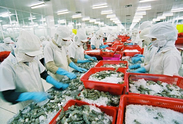 VASEP : l’UE augmentera ses importations de crevettes vietnamiennes hinh anh 1