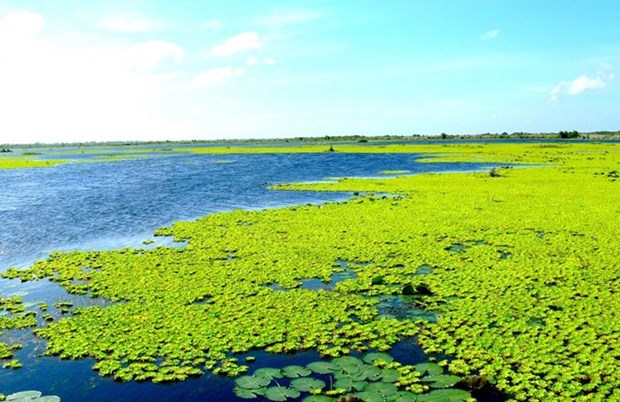 U Minh Thuong devient le 2.228e site Ramsar du monde hinh anh 1