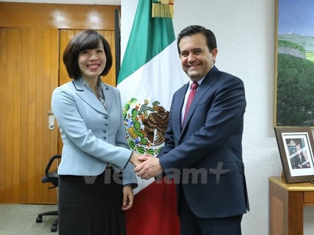 Le Mexique promeut la cooperation economique avec le Vietnam hinh anh 1