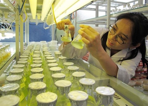Les pas difficiles de la biotechnologie au Vietnam hinh anh 1