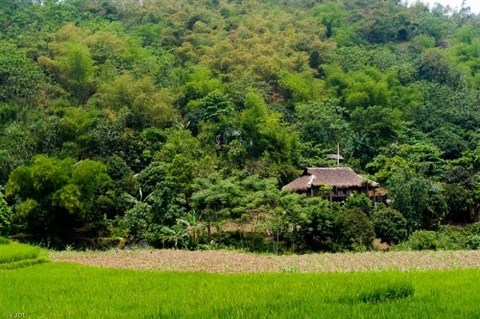 A Hoa Binh, un hameau Muong developpe le tourisme «homestay» hinh anh 1
