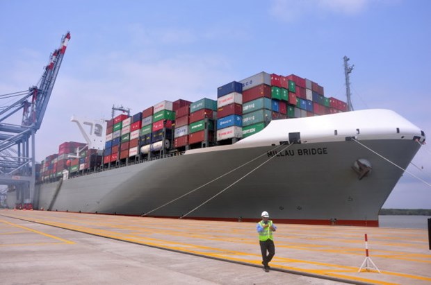 Le port de Cai Mep accueille un navire de 14.000 TEU hinh anh 1