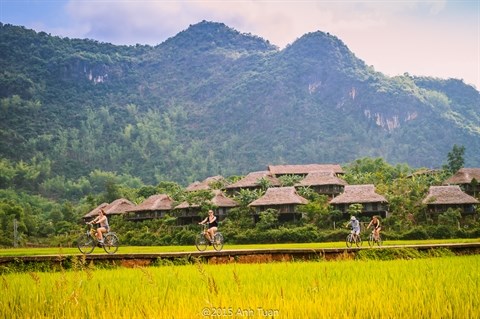 Priorite au developpement de quatre formes de tourisme au Vietnam hinh anh 2