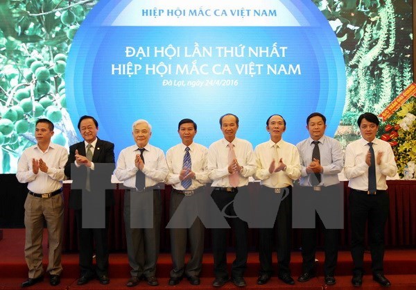 Creation de l’Association du macadamia du Vietnam hinh anh 1