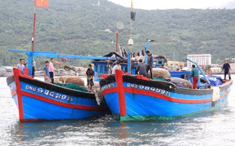 Le Syndicat de la peche proteste contre l'attaque d'un bateau vietnamien par un etranger hinh anh 1
