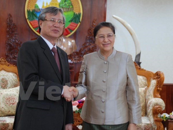 Une delegation de la Commission de controle du CC du PCV au Laos hinh anh 1