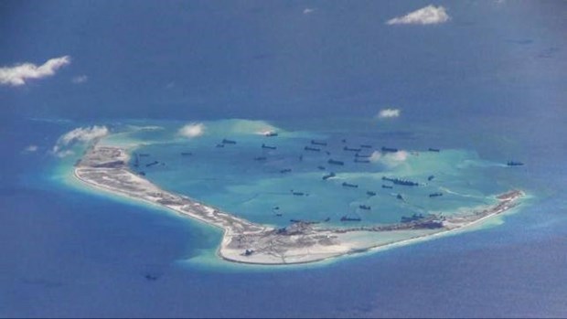 La Chine denoncee pour destruction de l'ecosysteme en Mer Orientale hinh anh 1