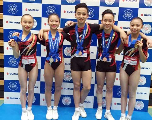 Le Vietnam participe aux Championnats de gymnastique aerobic du monde 2016 hinh anh 1