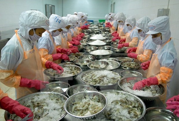 Hausse des exportations de crevettes aux Etats-Unis hinh anh 1