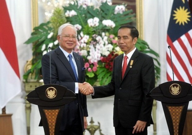 Malaisie et Indonesie accelerent le reglement de leurs differends territoriaux hinh anh 1