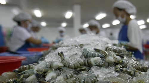 Hausse de 2,3% des exportations de crevettes au 2e trimestre hinh anh 1