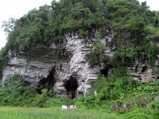 Decouverte de deux grottes prehistoriques a Bac Kan hinh anh 1