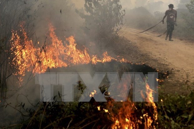 L'Indonesie s'engage a lutter contre les fumees des incendies de forets hinh anh 1