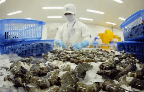Les exportations de crevettes devraient depasser les 3 milliards de dollars cette annee hinh anh 1