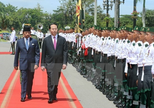 Le Vietnam et le Brunei plaident pour des relations accrues hinh anh 1