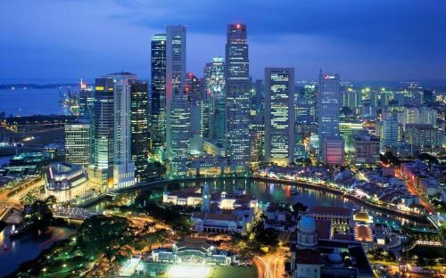 Un elan supplementaire pour les relations commerciales Vietnam-Singapour hinh anh 1