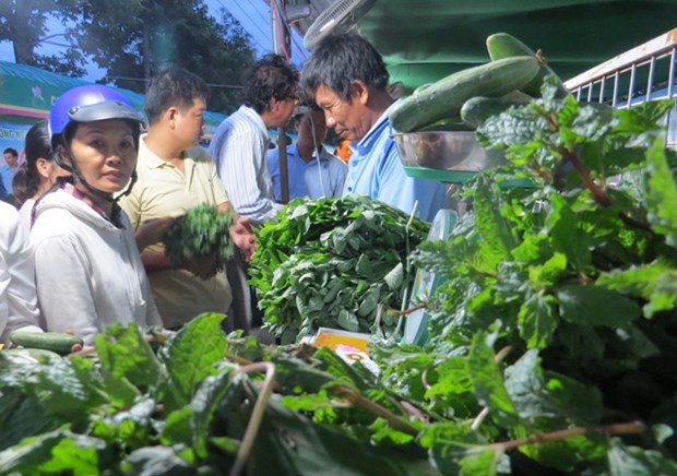 La foire de l'agriculture verte attire plus de 12.000 visiteurs hinh anh 1