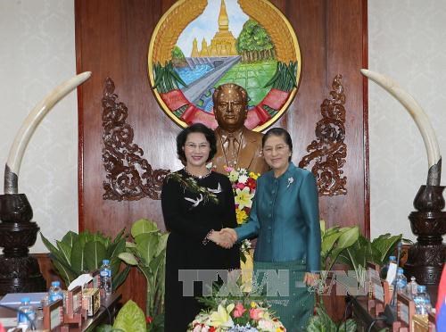 Entretien entre les deux presidentes de l'AN du Vietnam et du Laos hinh anh 1