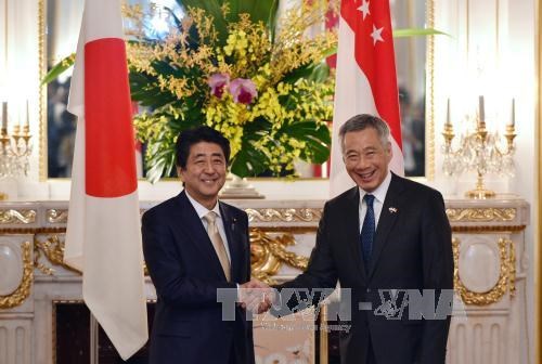 Japon et Singapour conviennent de renforcer les relations bilaterales hinh anh 1