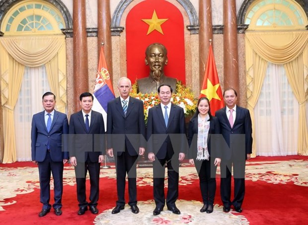 Le president du Vietnam recoit de nouveaux ambassadeurs hinh anh 3