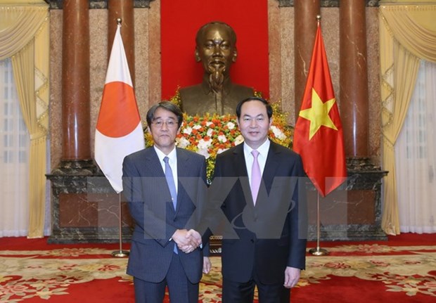 Le president du Vietnam recoit de nouveaux ambassadeurs hinh anh 2