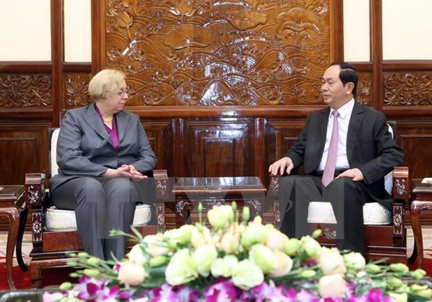 Le president du Vietnam recoit de nouveaux ambassadeurs hinh anh 4