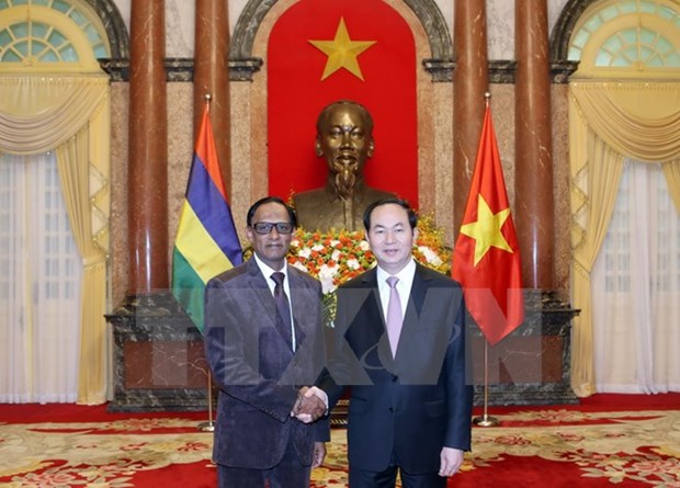 Le president du Vietnam recoit de nouveaux ambassadeurs hinh anh 6