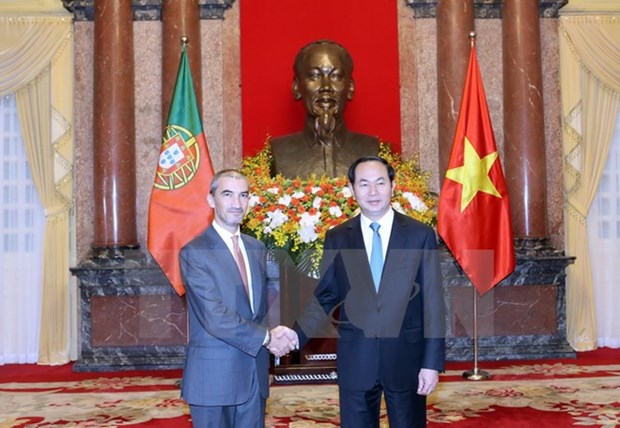 Le president du Vietnam recoit de nouveaux ambassadeurs hinh anh 7