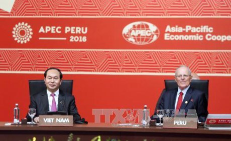 Cloture du 24e Sommet de l’APEC hinh anh 1