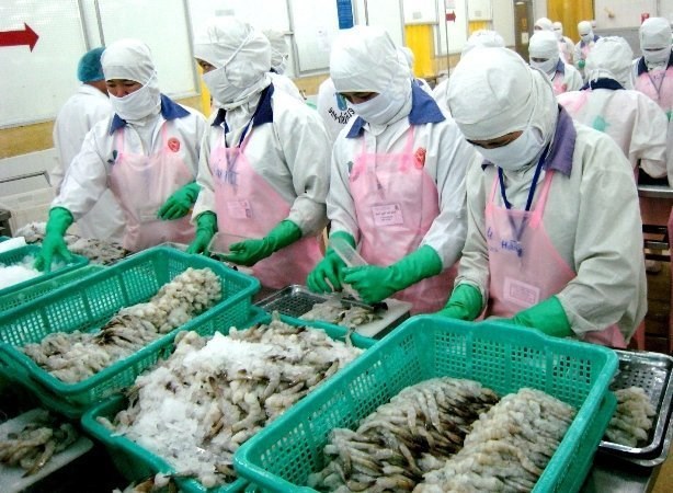 Les crevettes vietnamiennes bien appreciees au Japon, en Chine et aux Etats-Unis hinh anh 1