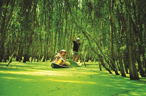 Le delta du Mekong a la saison des crues hinh anh 4
