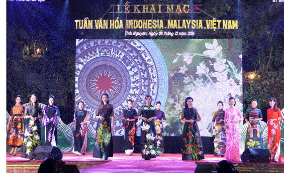 Ouverture de la Semaine culturelle Malaisie-Indonesie-Vietnam a Thai Nguyen hinh anh 1