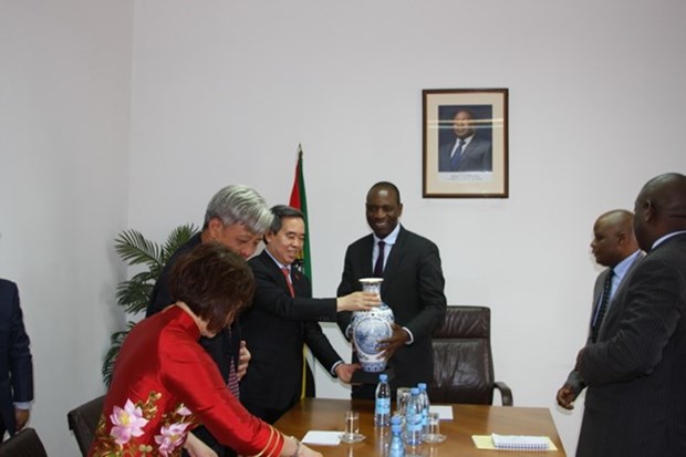 Vietnam-Mozambique: promotion des liens de cooperation multisectorielle hinh anh 1