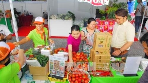 Le programme «Connexion verte en faveur d’une agriculture durable» debute a Ho Chi Minh-Ville hinh anh 1